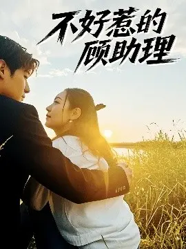 《不好惹的顾助理》：职场甜怼爆笑来袭，看小助理如何逆袭霸总！