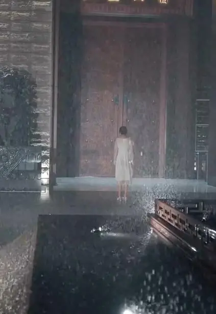 《一见倾心2024》：民国虐恋新篇章？复古风潮席卷，爱情是否能穿越时空？