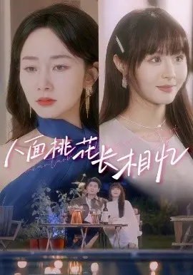 人面桃花长相忆 海报